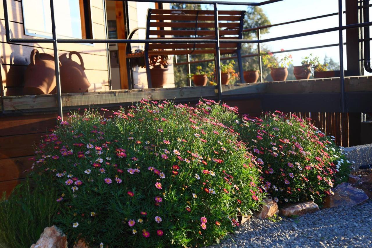 Cabanas Y Spa Costa Patagonia - Piscina Climatizada ปิชิเลมู ภายนอก รูปภาพ