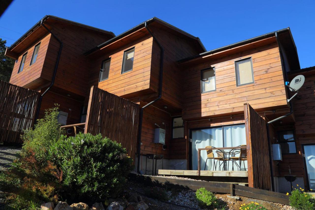 Cabanas Y Spa Costa Patagonia - Piscina Climatizada ปิชิเลมู ภายนอก รูปภาพ